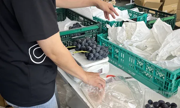 農産物を計量・梱包して出荷する様子